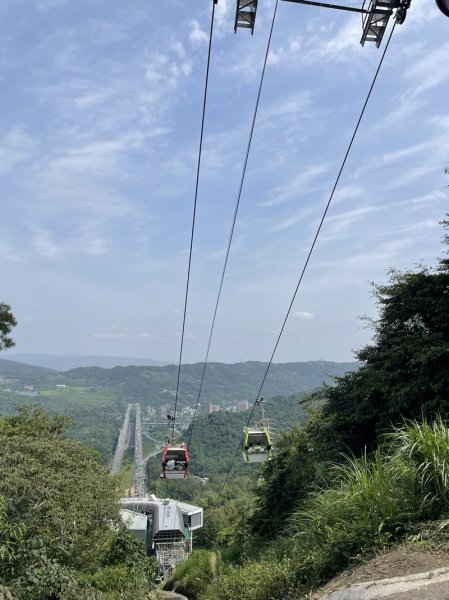 魚猴13連峰2757345