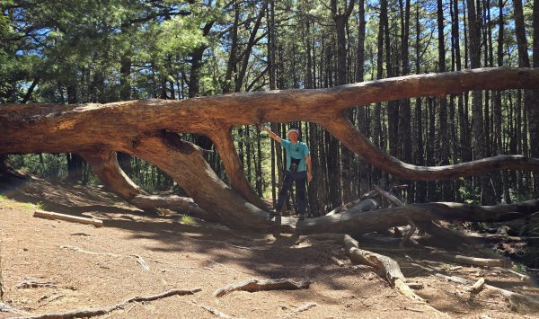 20251003-1006 南湖群峰四天6座百岳2919651