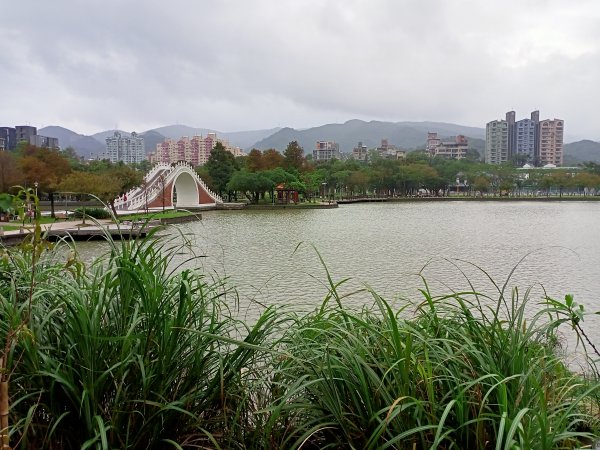 大湖公園 (防災公園)【走路趣尋寶】1899872