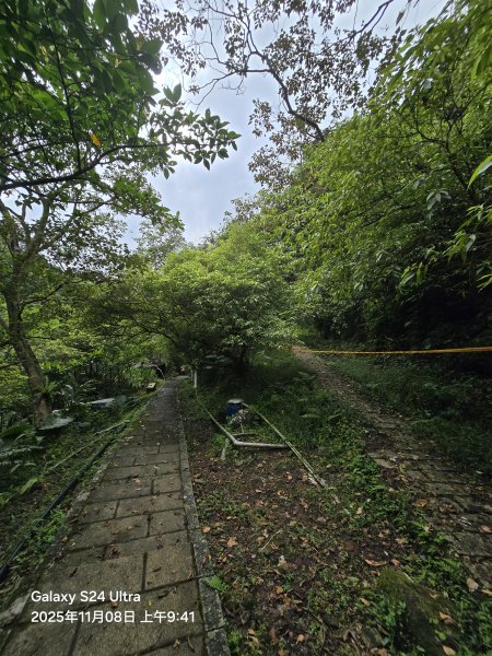 2025-11-08微笑山線：【五分山系】菁桐煤礦段2932710