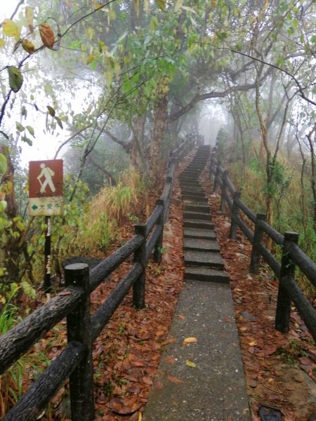 高雄大社~健身踏青好選擇~小百岳觀音山907979