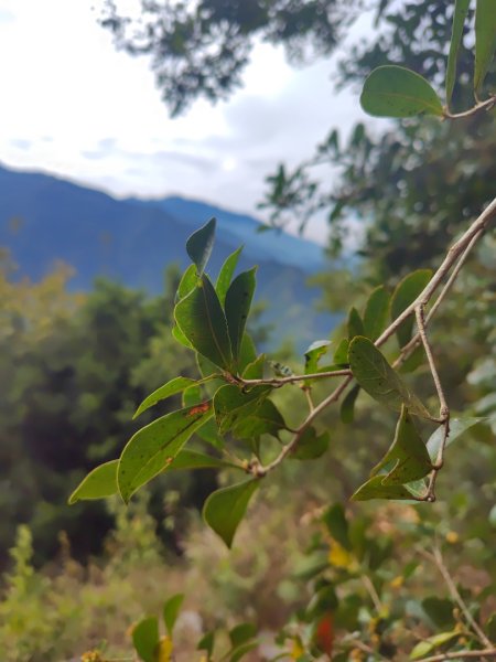 多納六秀 足母山 鬼斧神工一線天 德德山2953037