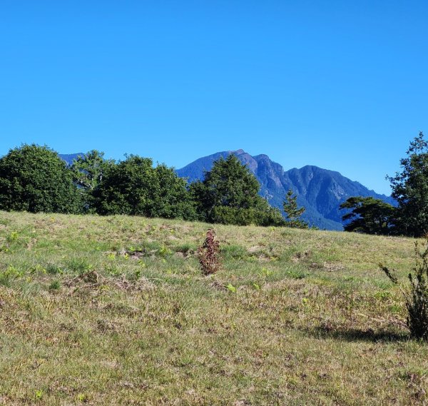 【中級山】馬武霸山，實至名歸的百岳觀景台2937739