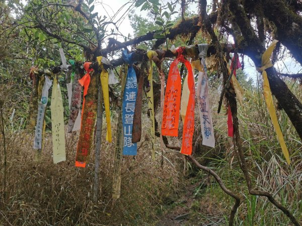 小百岳三星山-太平山森林遊樂區內最高峰1040680