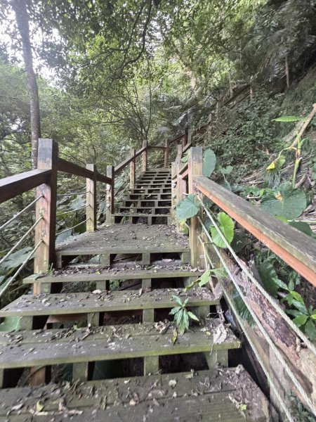 20251025南化龍湖寺至紫竹寺O繞(石松子山.大竹崙山.竹子尖山)2925085
