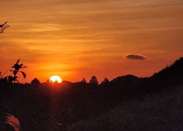 秋芒夕落，譜成令人心醉的浪漫擎天崗2656545