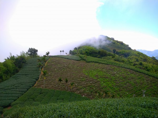 小百岳：嶺子腳山(太平山)1184389