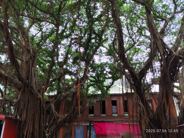 迪化街、大港墘公園【2025臺北健走趣】2829187