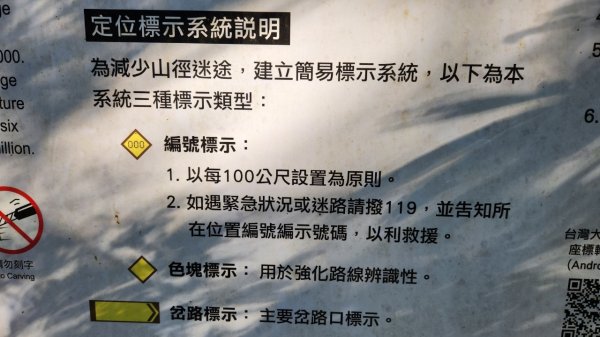 【中級山】插天山的奇幻世界，赫威山，赫威神木群步道2741305