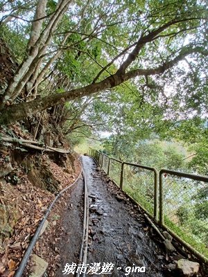 【南投仁愛】武界部落采風2972896