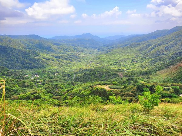 頂山，石梯嶺，竹篙山，雞心崙，五指山，梅花山，香對山，雙溪溝古道，風櫃嘴步道，土城明德山1664610