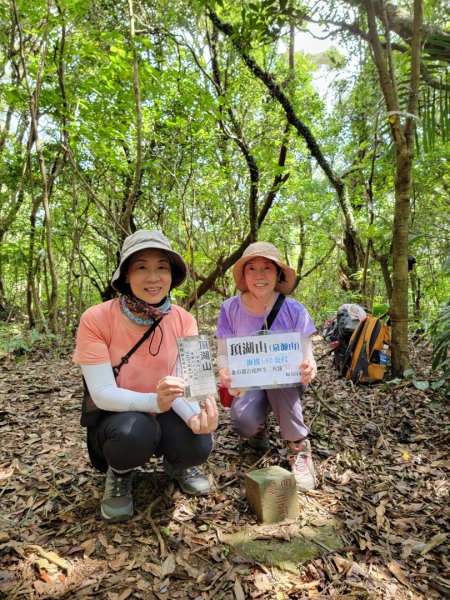 頂湖-頂湖山-小屯山-大屯山南峰-大屯坪-二子坪-202408112601423