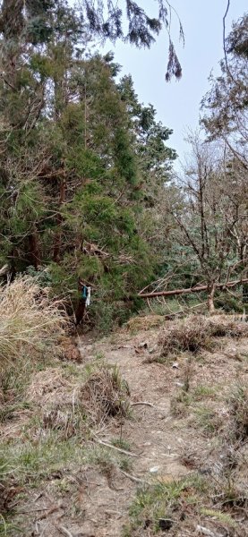 2025 3/1 三星山2723848