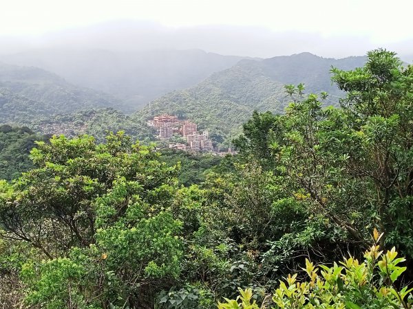 【瑞芳四秀】白象山(又名弘明山)→秀崎山→瑞芳山→龍潭山1651484