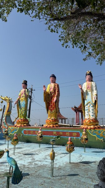 尋仙、鑽洞、啖肥雞3002777