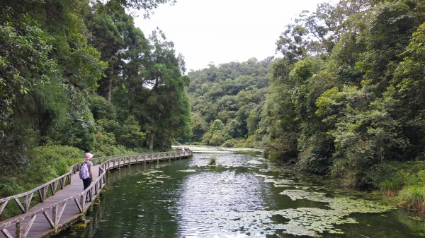 福山植物園1091022