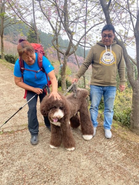 鵝公髻山（小百岳）鵝公髻山東北峰2449877