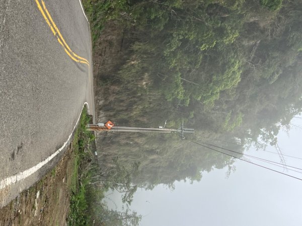2026騎車跑了一趟雲嘉，入住樹屋3057544