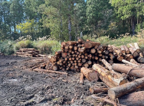 三星山(小百岳#85) 鳩之澤溫泉煮蛋趣2953238