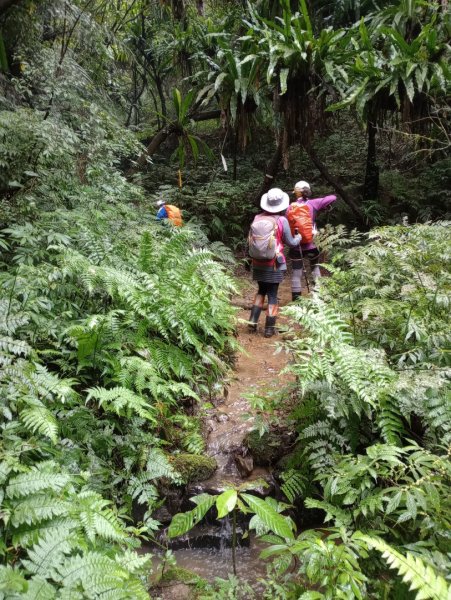 雷公埤山-鱷魚島觀景-小格頭獅頭山2001510
