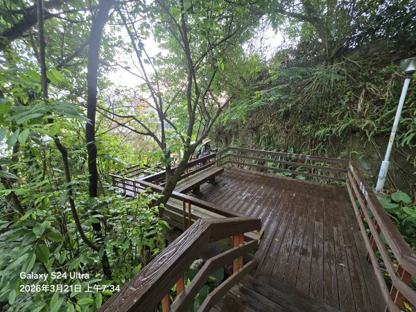 2026-03-21微笑山線：【鳶山山系】鳶山彩壁段3020425