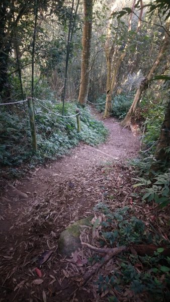 出關古道關刀山步道1584798