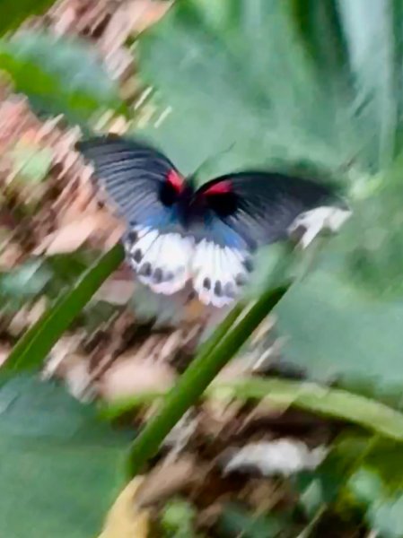 隴頂古道走萬里長城四百坎2672451