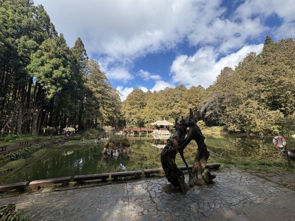 20251225塔山步道(大塔山)2970457