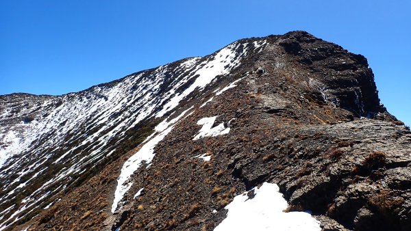 雪山西峰/博可爾山/翠池三叉山與五翠池悠閒走探的山遊記(三日)2838490