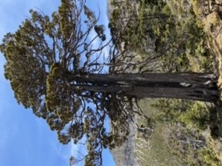 雪山西稜夢幻大景1392693