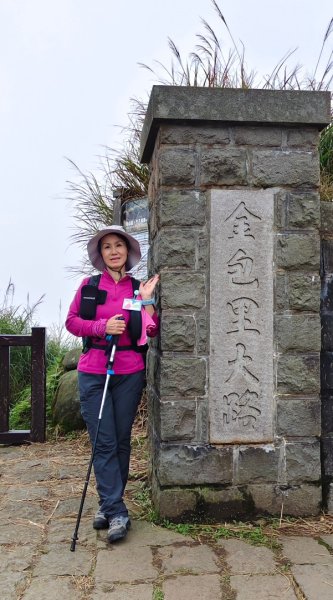 陽明山輕鬆走2991984