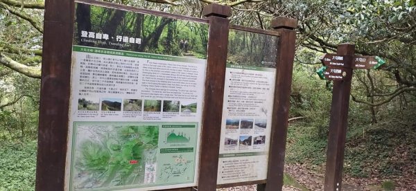 臺北大縱走第二段（2）1309713