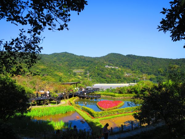 龍年首登的好選擇，鯉躍龍門，搭捷運來內湖爬三尖，鯉魚山、忠勇山、圓覺尖2426514