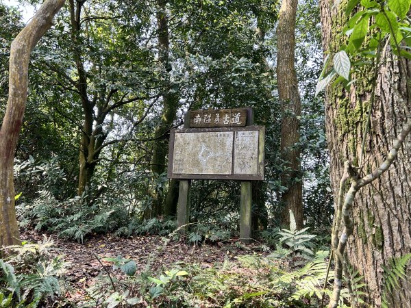鳴鳳古道3025881
