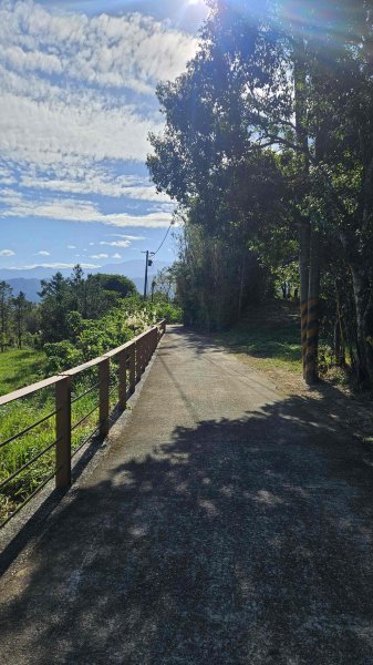 20251222龍峎頂步道-三灣火炎山-老銃櫃步道-三灣落羽松-肚兜角步道2969153