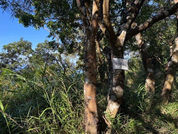 楓港紫竹林龍峰寺起登 里龍山(小百岳#80)來回2964455