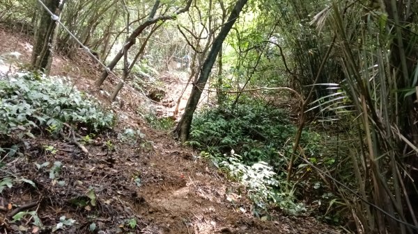 基隆市三角洲嶺山-三角洲嶺北峰-池塘-獅球嶺東砲台山-獅球嶺-獅球嶺北峰-劉銘傳隧道3067303