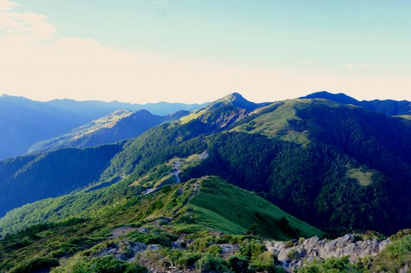 鳥山。不鳥 ~ 合歡西峰439624