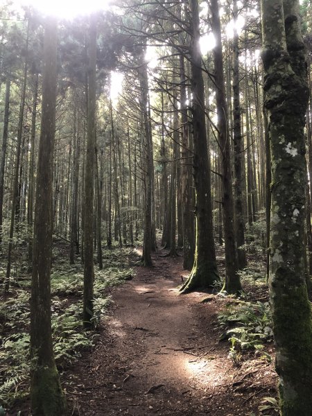 2020/09/13高島縱走P繞1101692