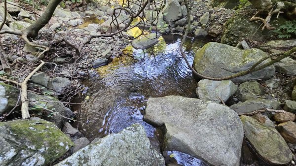 20250820金童玉女月牙天沖(金童嶺-玉女嶺-女王尖-月牙嶺-瑞光嶺-明月崙-清淨嶺-文筆嶺-清