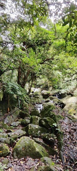 新竹內灣．馬胎古道202506212823505