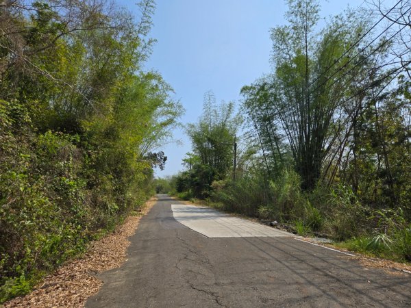 350高地、阿凰臘森林步道3033492