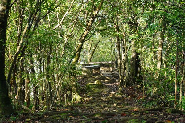 新北 平溪 嶺腳寮山2601057