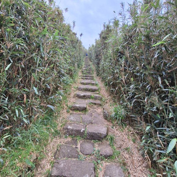 2025臺北大縱走-小油坑到二子坪-第二段完成!2781347