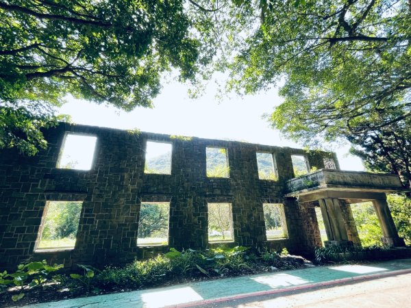 20261009 菁苗步道（苗圃登山口-菁山自然中心-前山公園）3133907