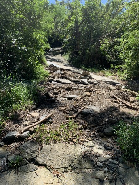 20251006屏東老佛山-老佛山西峰2907881