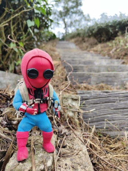 2023.12.23 梨子腳山2833265