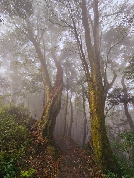 小百岳集起來-奮起湖大凍山2185191