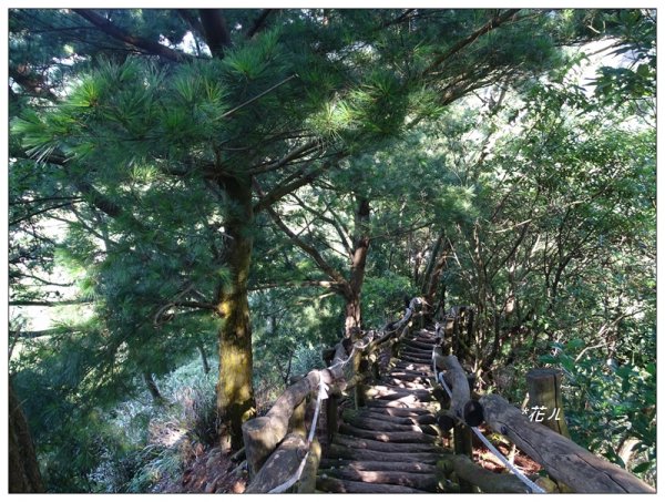 台中/大坑4號步道634920