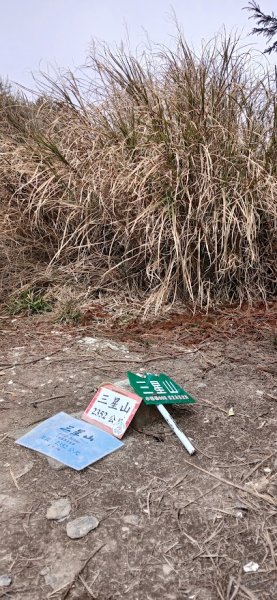 2025 3/1 三星山2723855